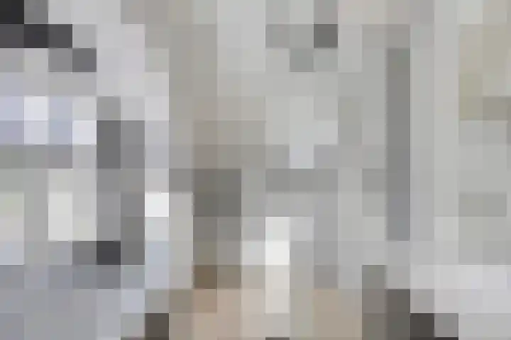 Hertogin Johannasingel 15 Oss thumbnail 39