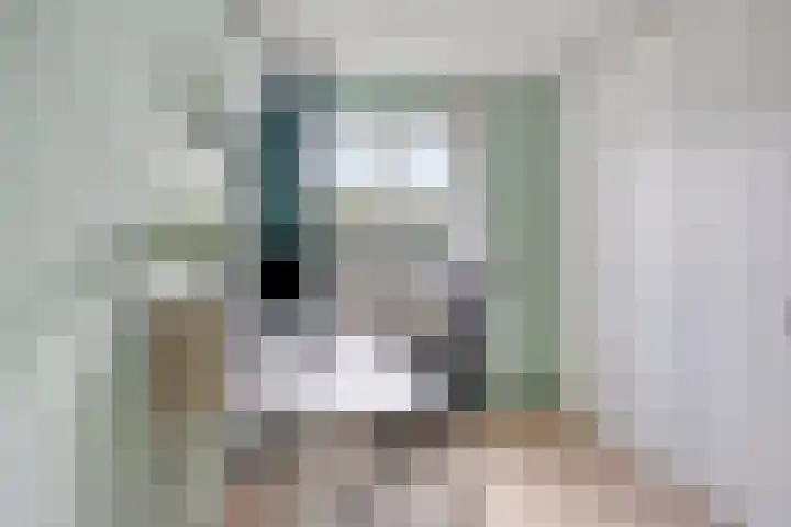 Hertogin Johannasingel 15 Oss thumbnail 44