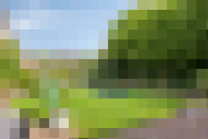 Hertogin Johannasingel 15 Oss thumbnail 50