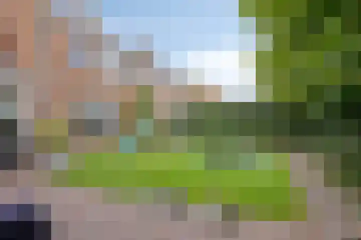 Hertogin Johannasingel 15 Oss thumbnail 51