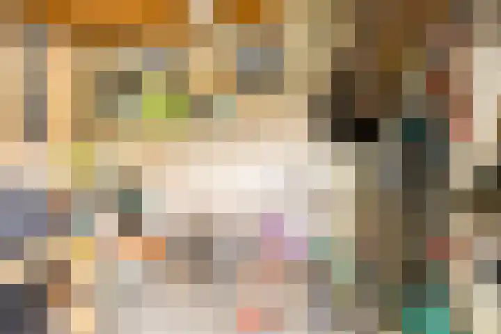 Hertogin Johannasingel 15 Oss thumbnail 59
