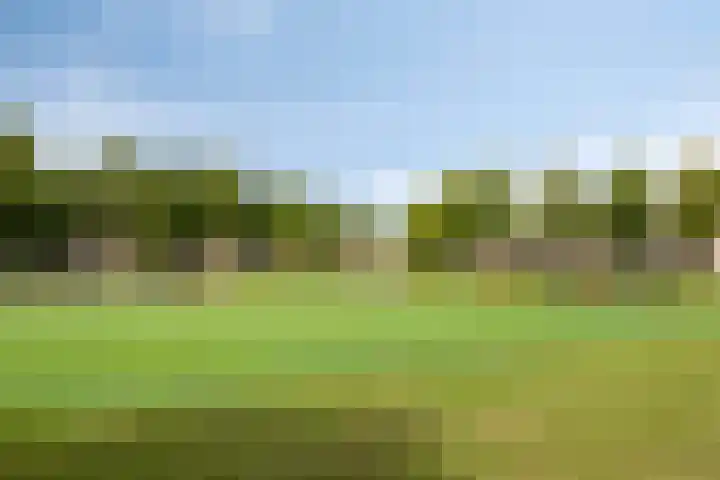 Hertogin Johannasingel 15 Oss thumbnail 61
