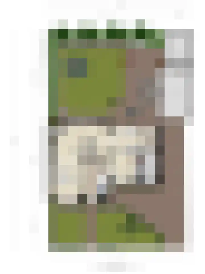 Hertogin Johannasingel 15 Oss thumbnail 62