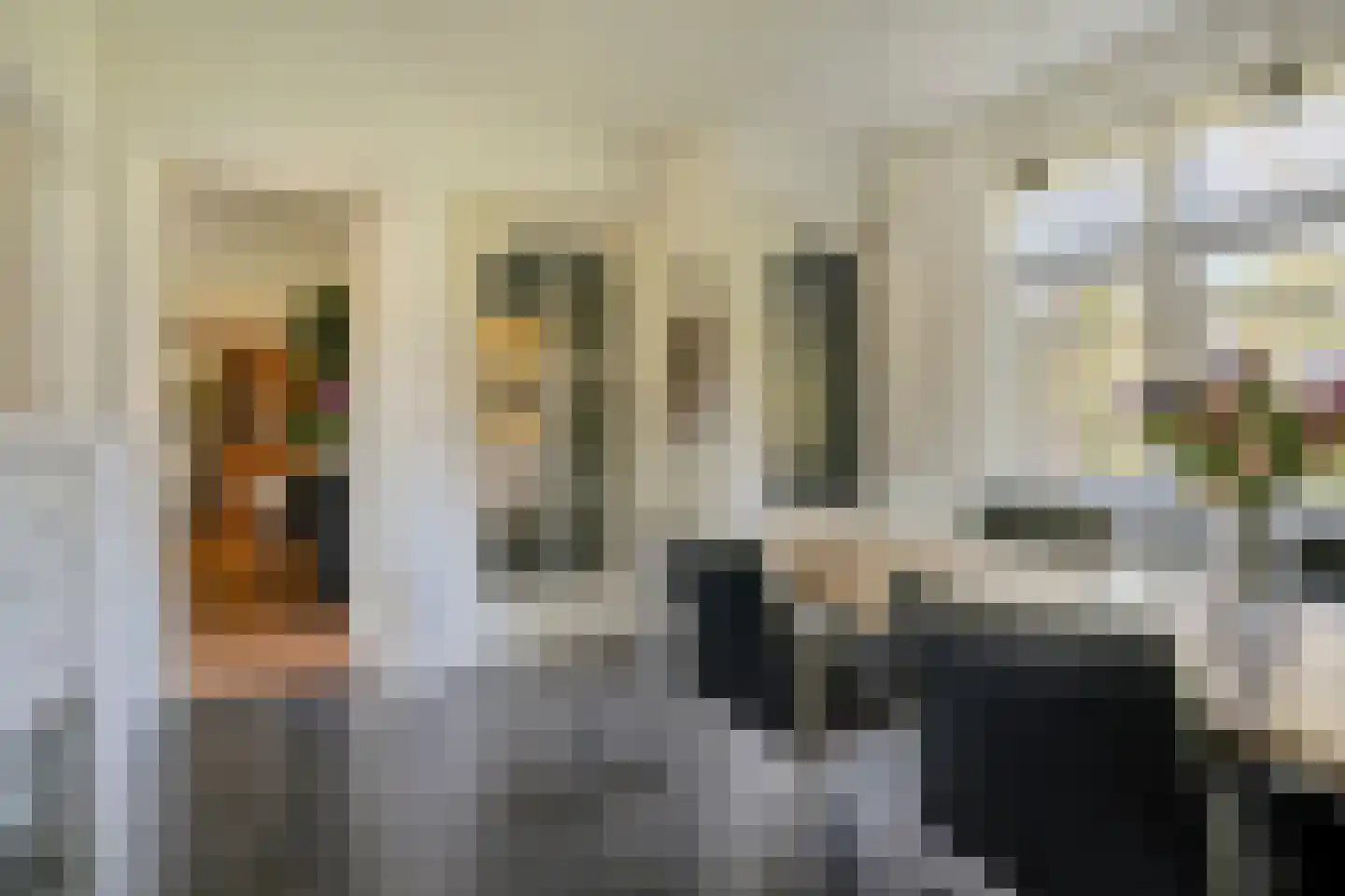 Hertogin Johannasingel 21 Oss thumbnail 11