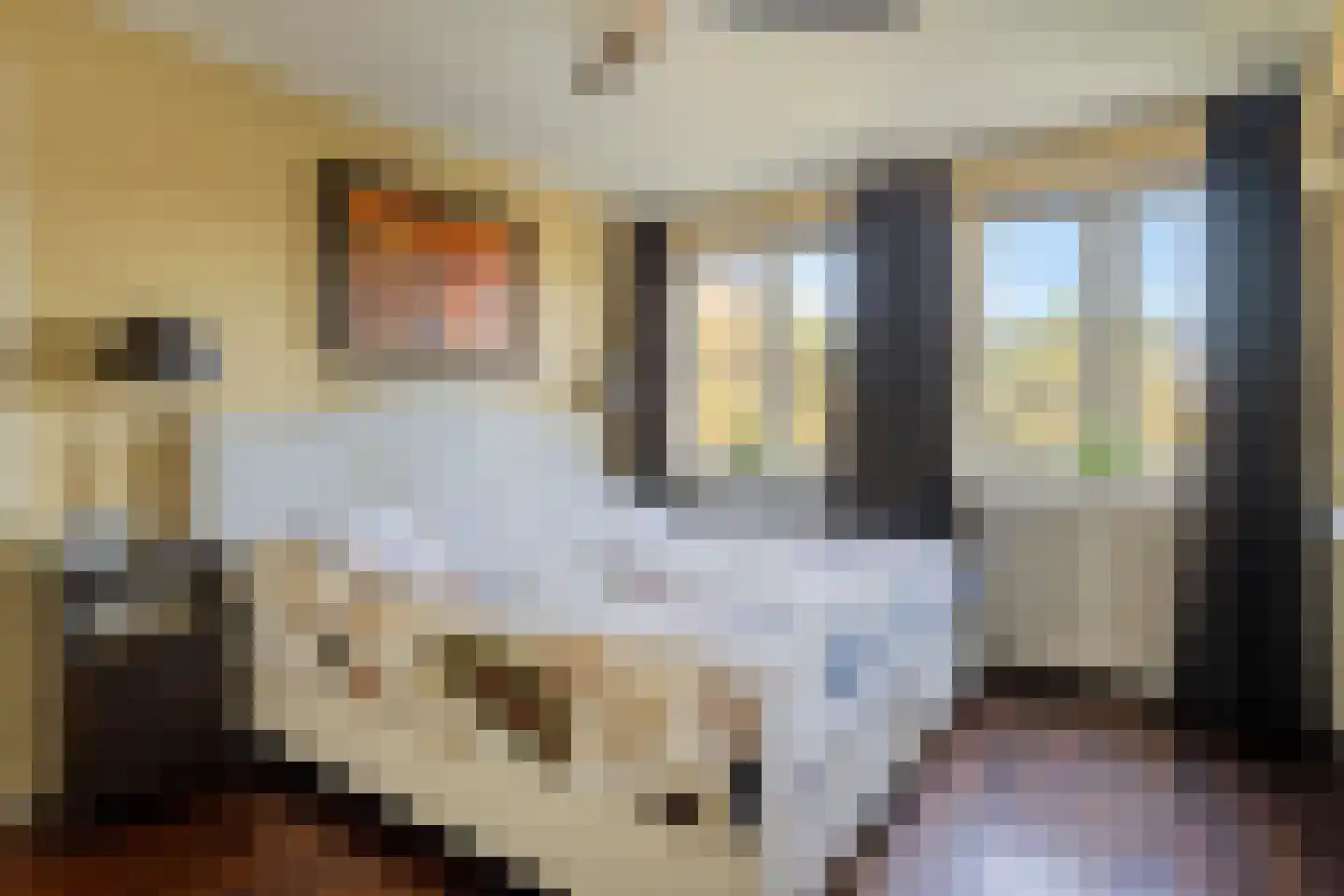 Hertogin Johannasingel 21 Oss thumbnail 18