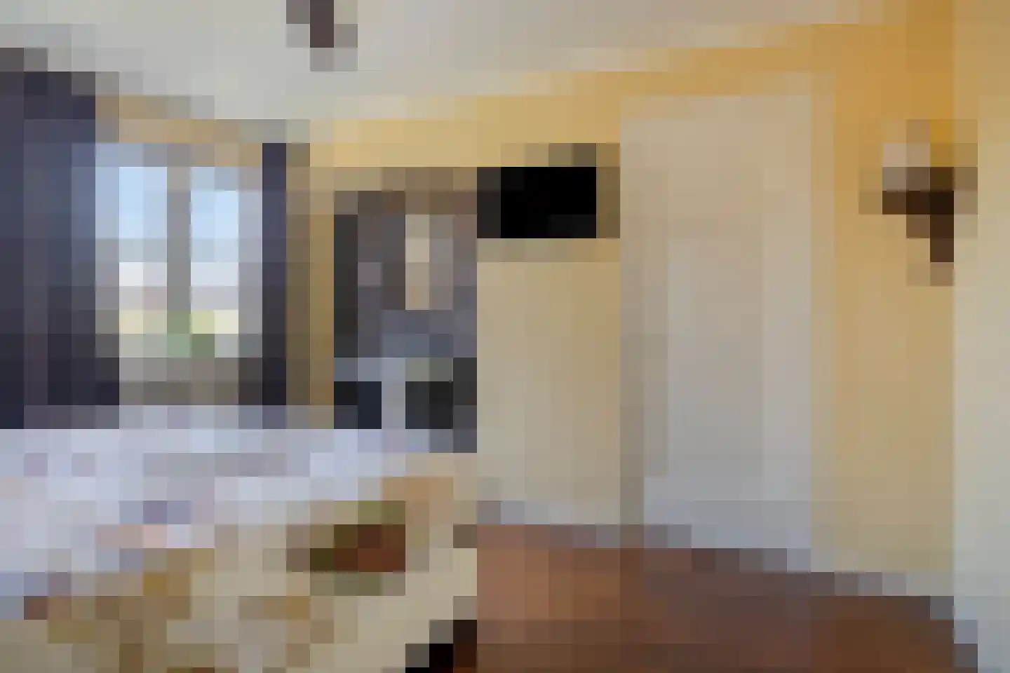 Hertogin Johannasingel 21 Oss thumbnail 19