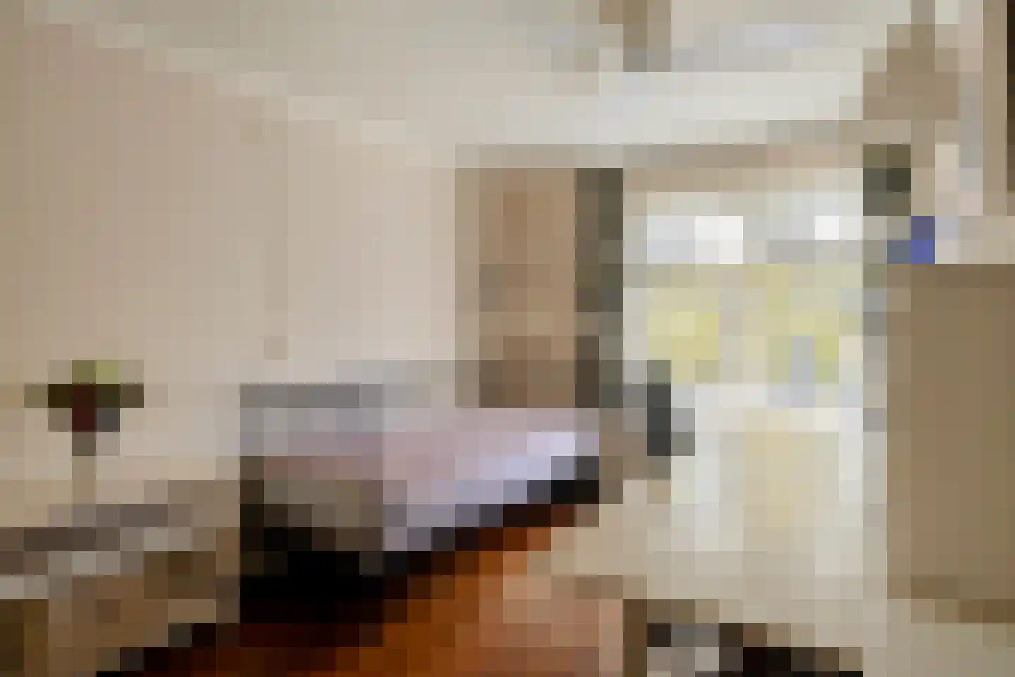 Hertogin Johannasingel 21 Oss thumbnail 22