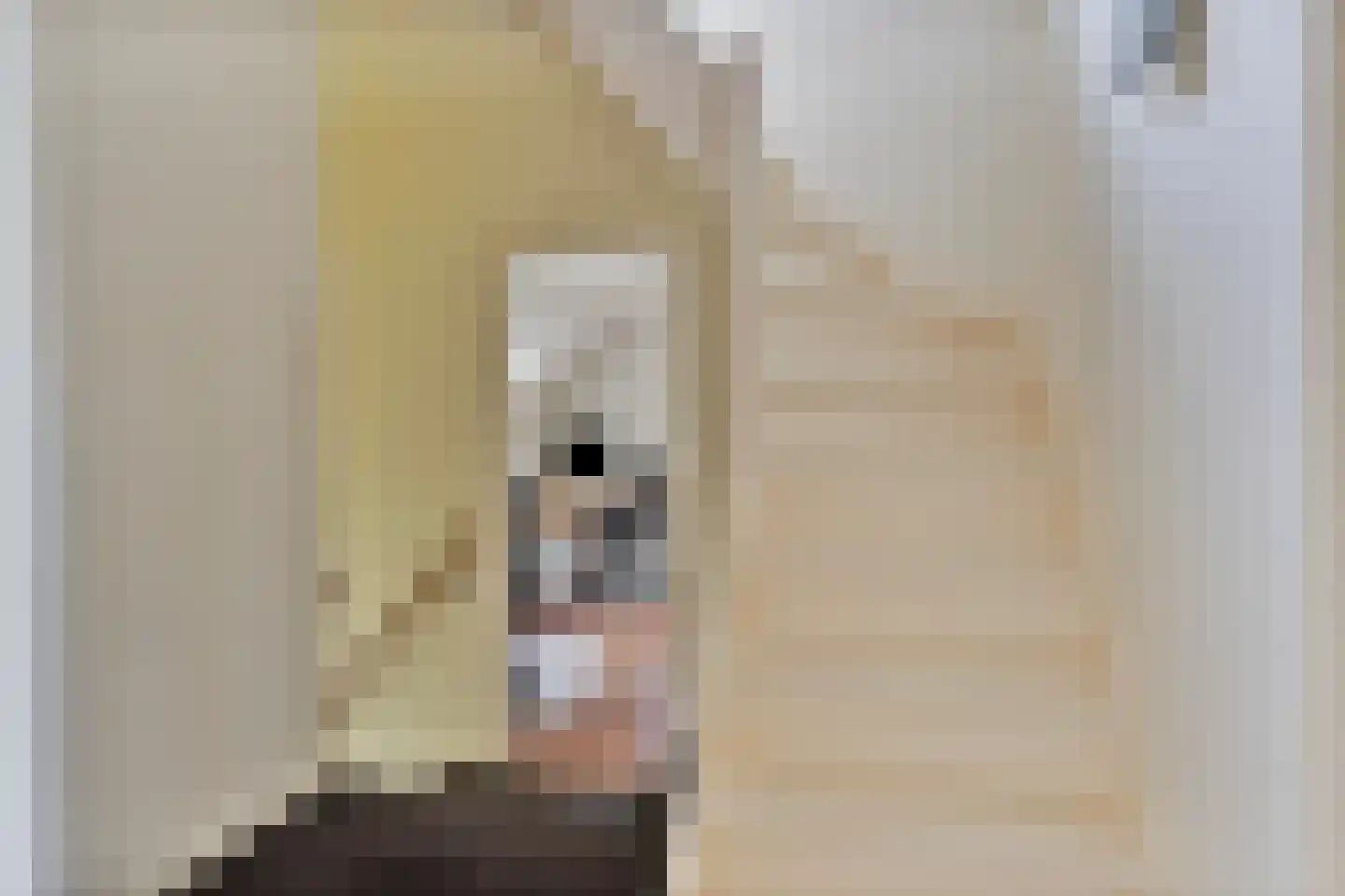 Hertogin Johannasingel 21 Oss thumbnail 29