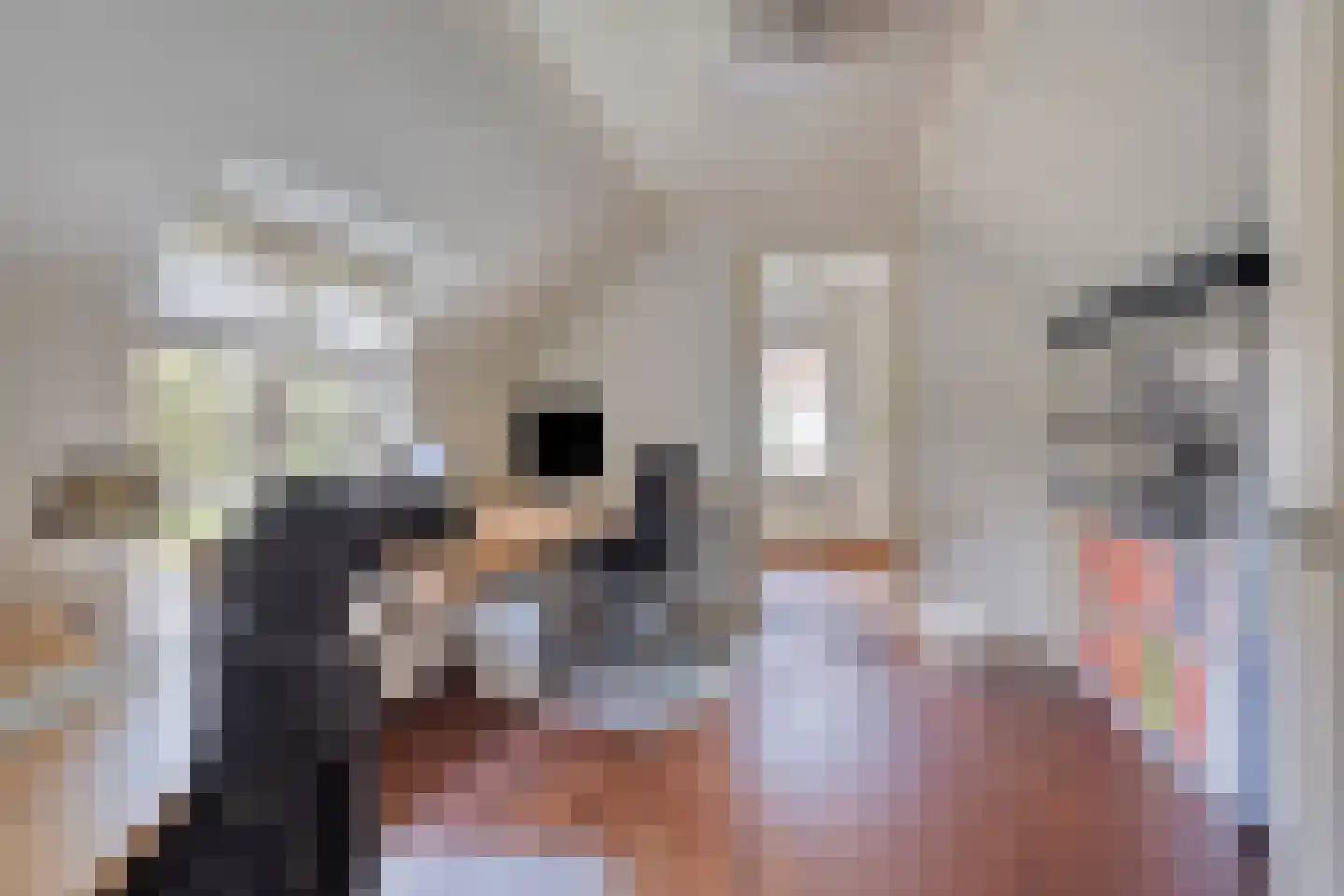 Hertogin Johannasingel 21 Oss thumbnail 30
