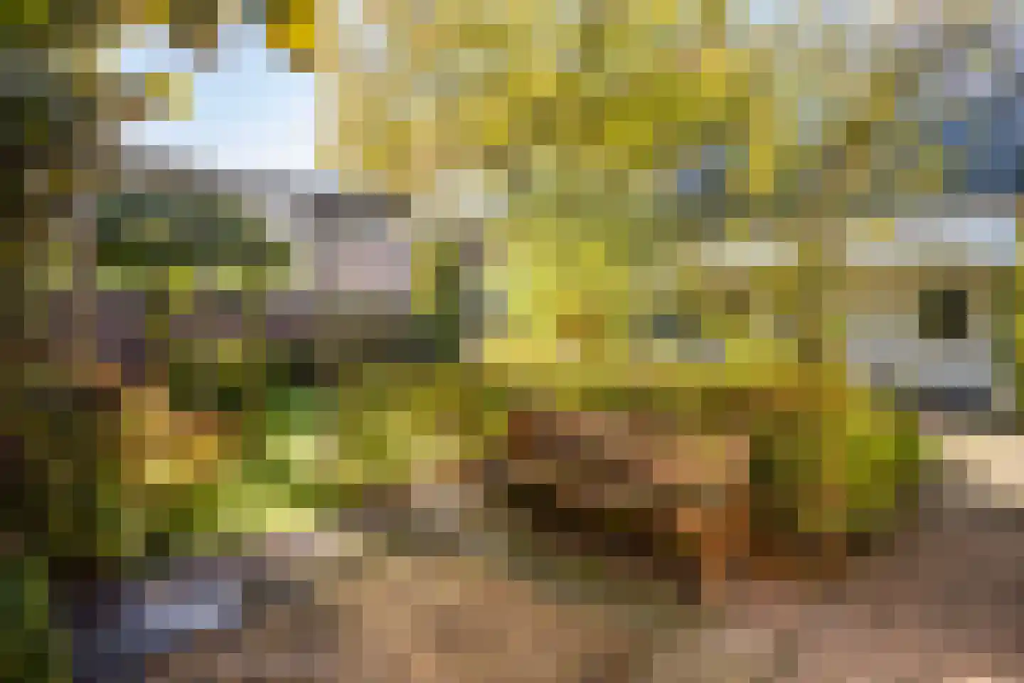 Hertogin Johannasingel 21 Oss thumbnail 33