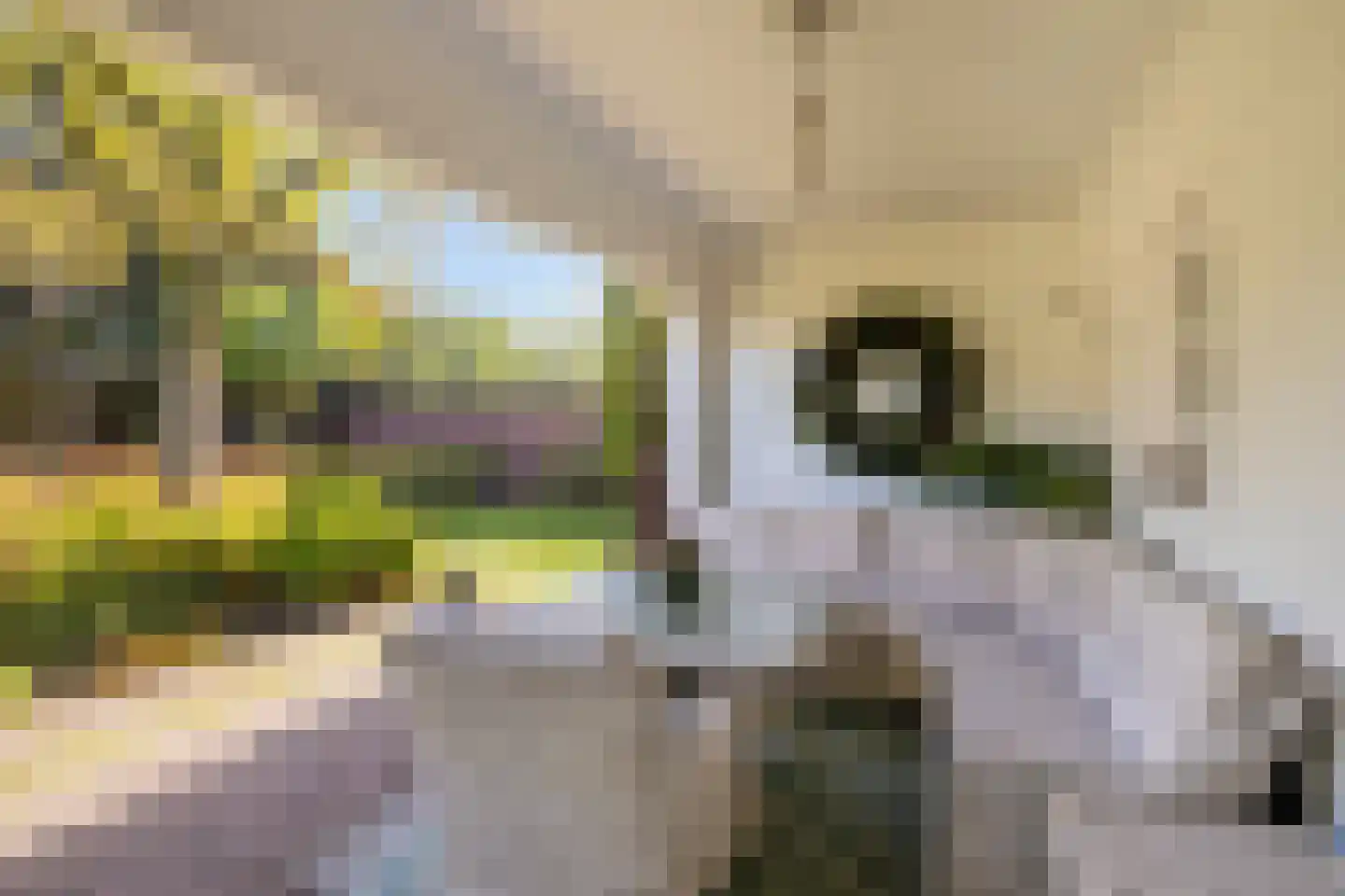Hertogin Johannasingel 21 Oss thumbnail 34