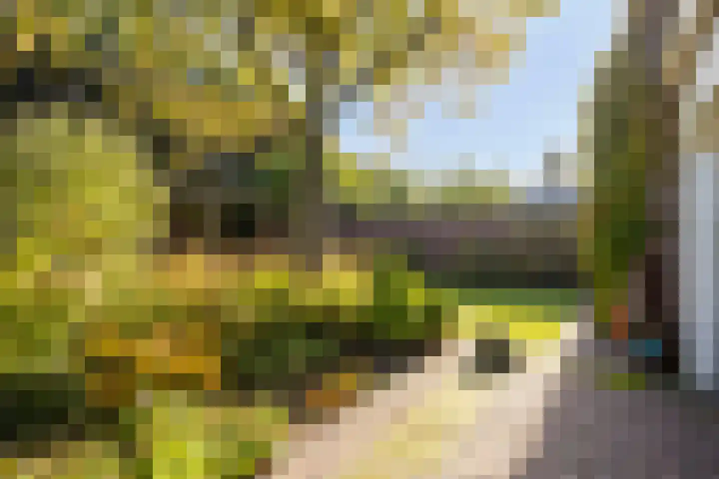 Hertogin Johannasingel 21 Oss thumbnail 36