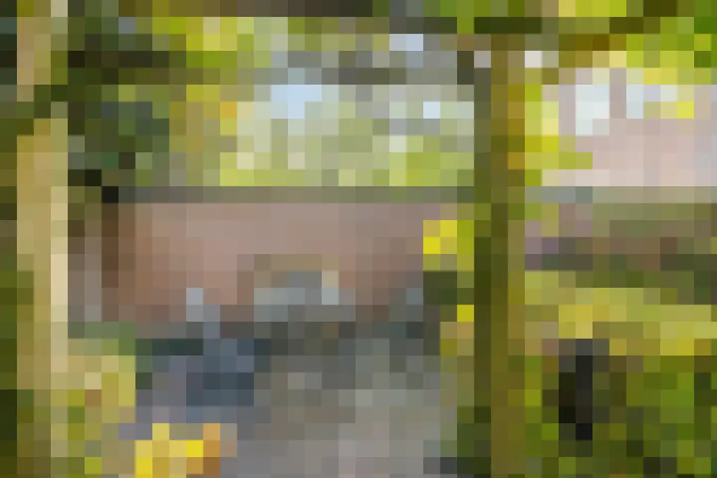 Hertogin Johannasingel 21 Oss thumbnail 37