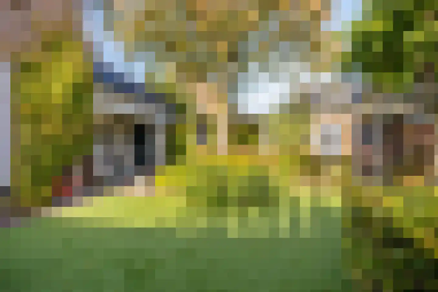 Hertogin Johannasingel 21 Oss thumbnail 38
