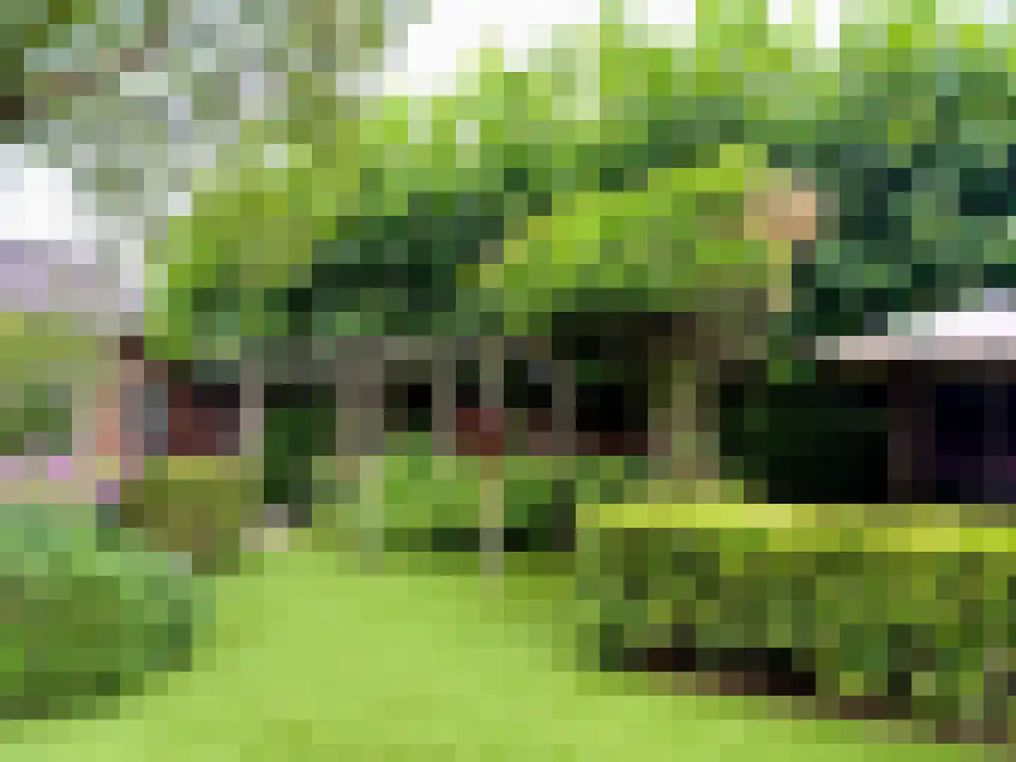 Hertogin Johannasingel 21 Oss thumbnail 39