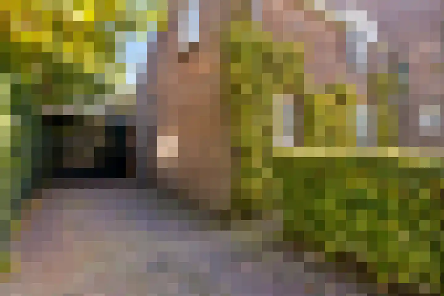 Hertogin Johannasingel 21 Oss thumbnail 4