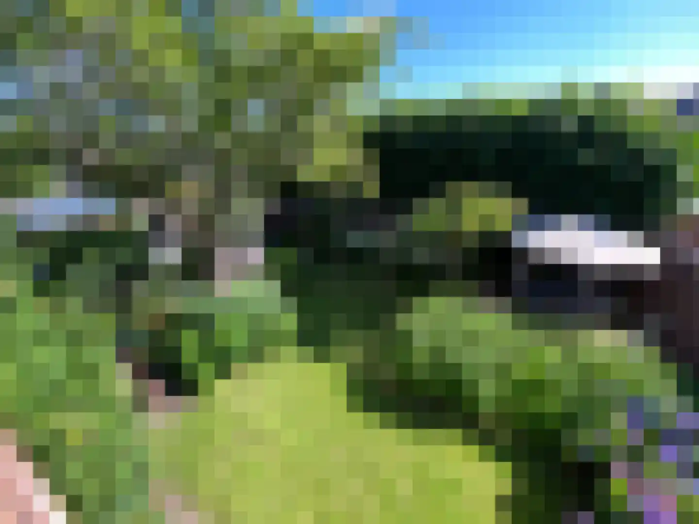 Hertogin Johannasingel 21 Oss thumbnail 40