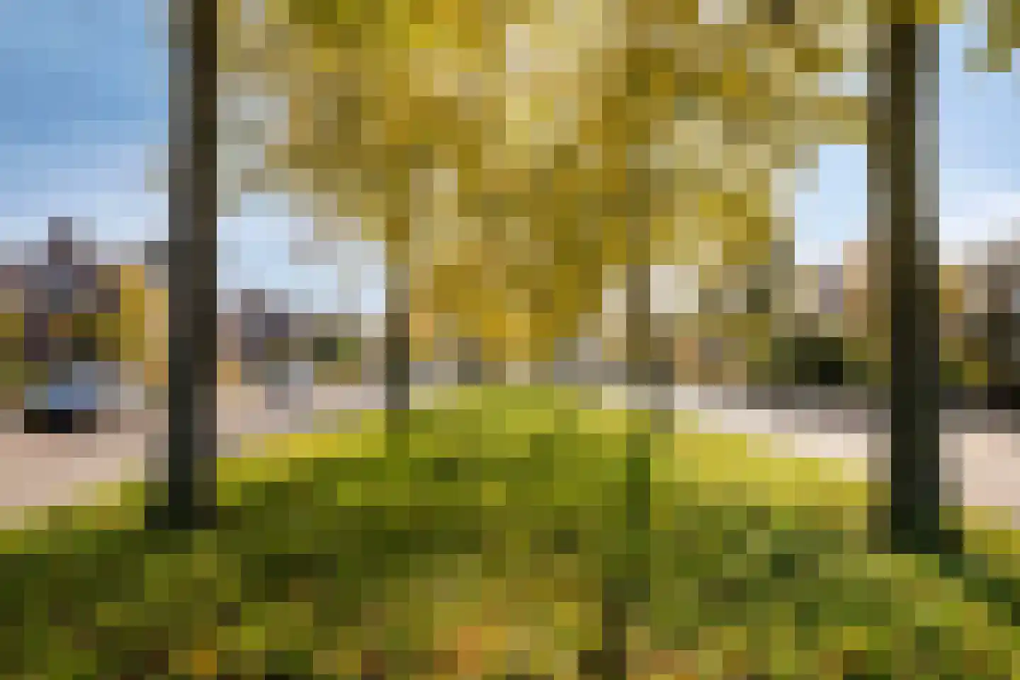 Hertogin Johannasingel 21 Oss thumbnail 46