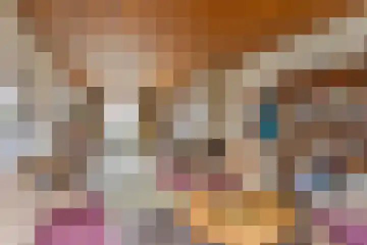 Hertogin Johannasingel 4 A Oss thumbnail 10