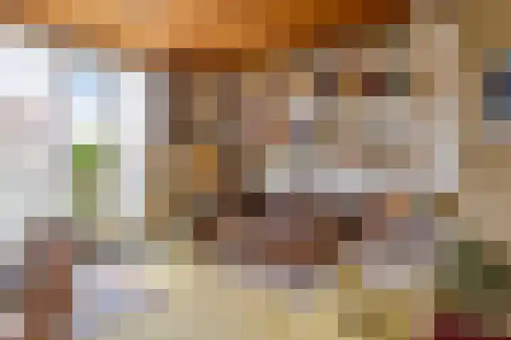 Hertogin Johannasingel 4 A Oss thumbnail 12