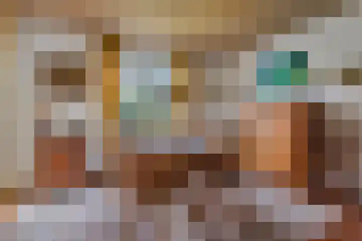 Hertogin Johannasingel 4 A Oss thumbnail 15