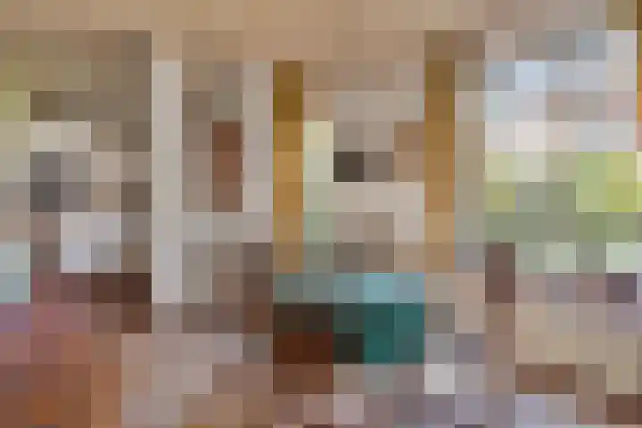 Hertogin Johannasingel 4 A Oss thumbnail 16