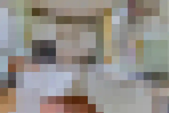 Hertogin Johannasingel 4 A Oss thumbnail 18
