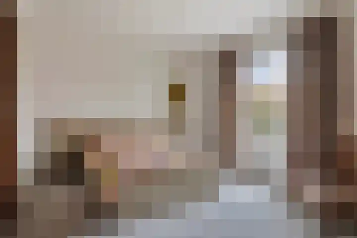 Hertogin Johannasingel 4 A Oss thumbnail 22