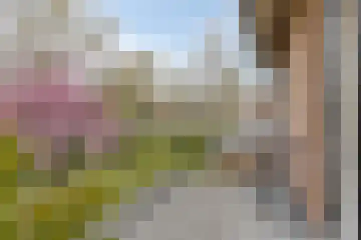 Hertogin Johannasingel 4 A Oss thumbnail 23