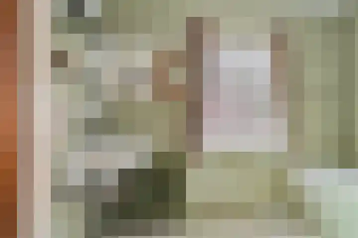 Hertogin Johannasingel 4 A Oss thumbnail 25