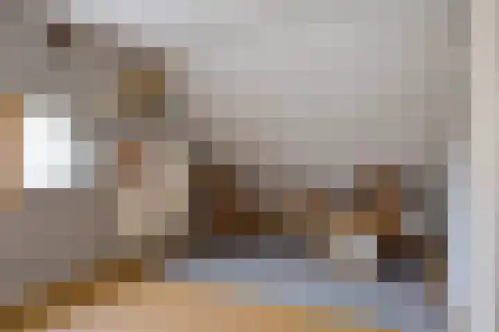 Hertogin Johannasingel 4 A Oss thumbnail 27