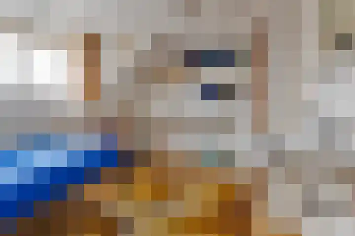 Hertogin Johannasingel 4 A Oss thumbnail 29