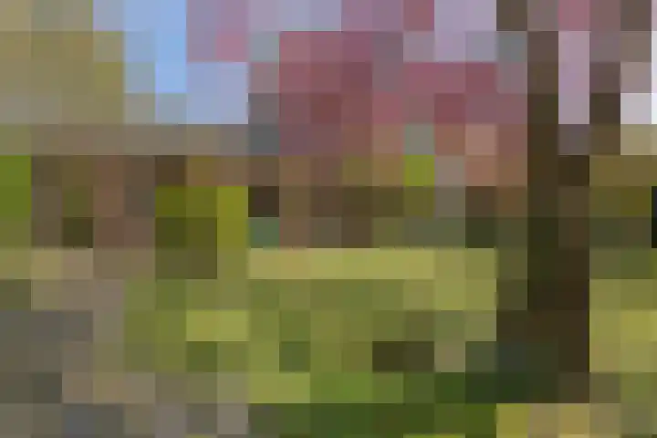 Hertogin Johannasingel 4 A Oss thumbnail 31