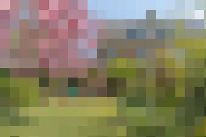Hertogin Johannasingel 4 A Oss thumbnail 32