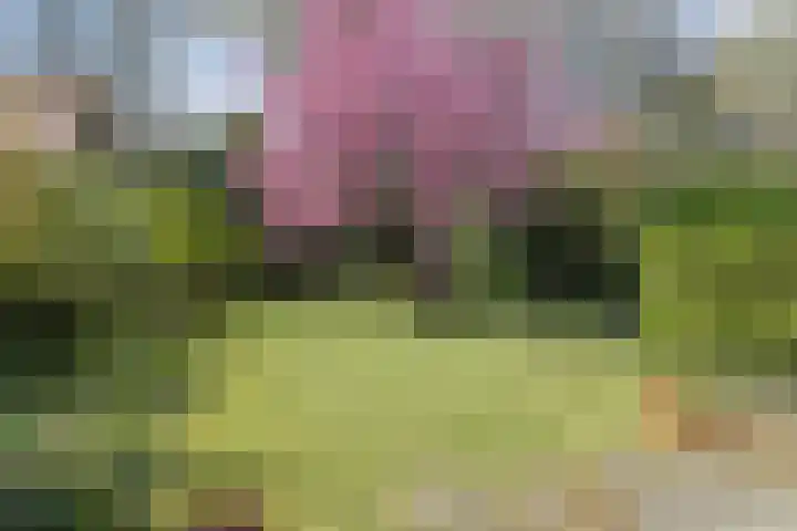 Hertogin Johannasingel 4 A Oss thumbnail 33
