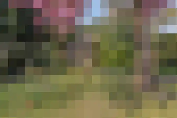 Hertogin Johannasingel 4 A Oss thumbnail 34