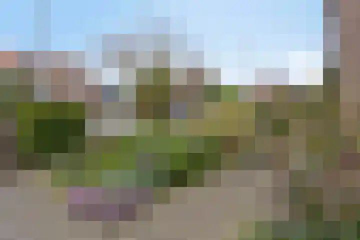 Hertogin Johannasingel 4 A Oss thumbnail 5