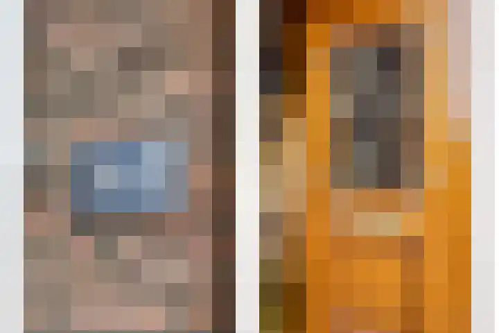 Hertogin Johannasingel 4 A Oss thumbnail 6