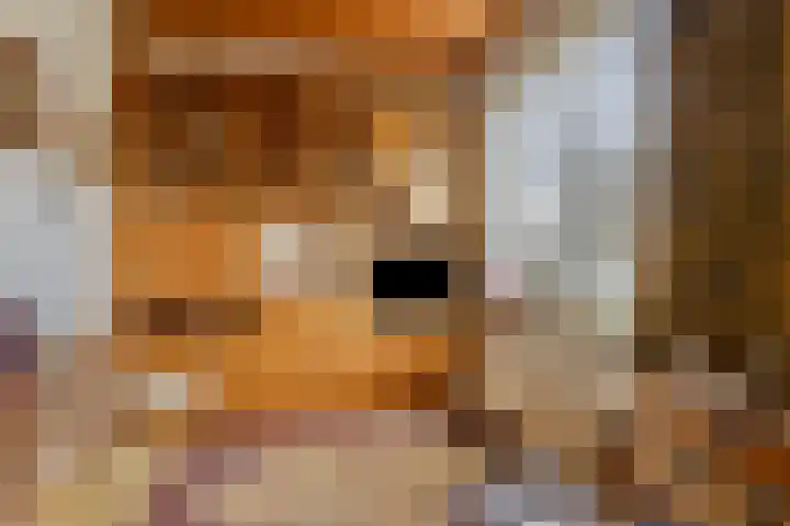 Hertogin Johannasingel 4 A Oss thumbnail 8