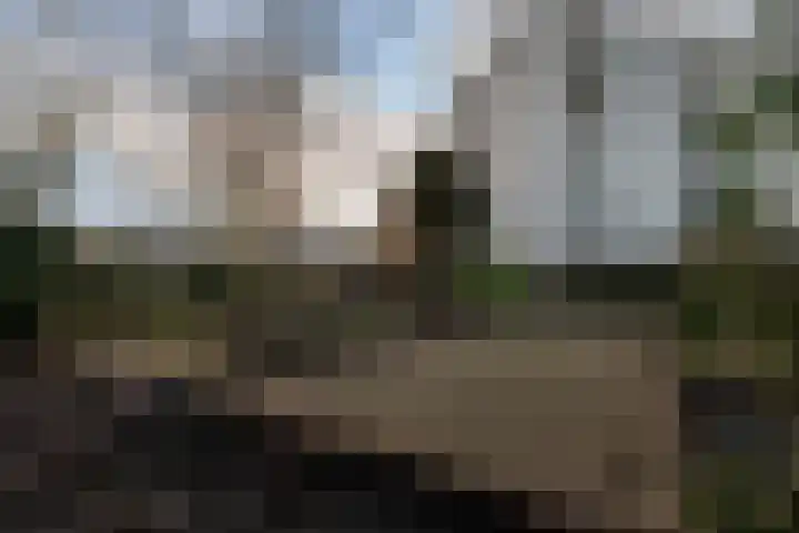 Hertogin Johannastraat 100 's-Hertogenbosch thumbnail 35