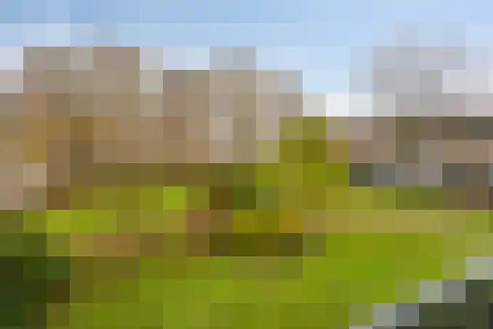 Hertogin Johannastraat 14 's-Hertogenbosch thumbnail 22