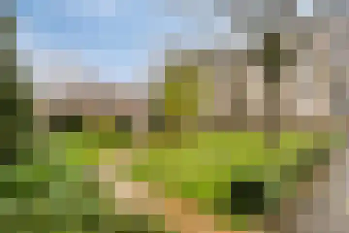 Hertogin Johannastraat 14 's-Hertogenbosch thumbnail 34