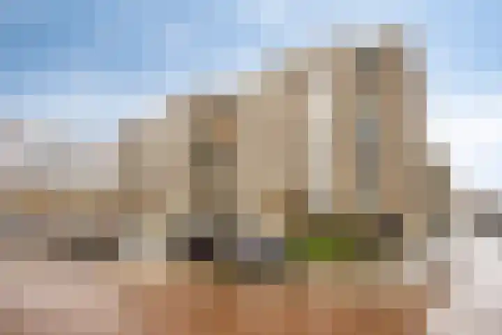 Hertogin Johannastraat 14 's-Hertogenbosch thumbnail 35