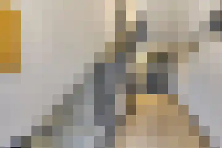 Hertogin Johannastraat 14 's-Hertogenbosch thumbnail 7
