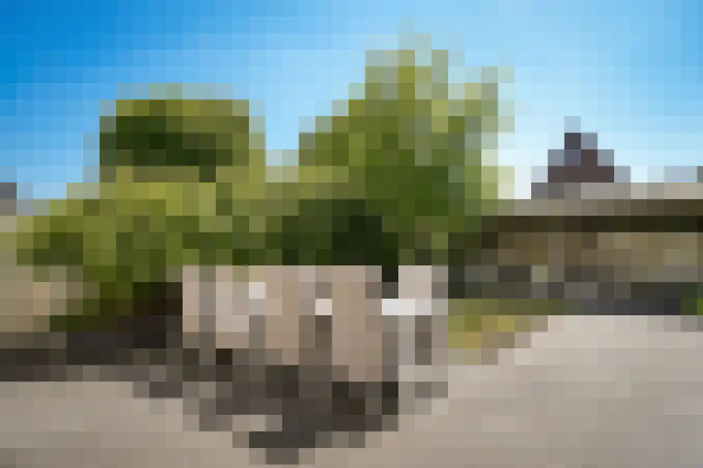 Hertogin Mechteldhof 2 Zaltbommel thumbnail 4