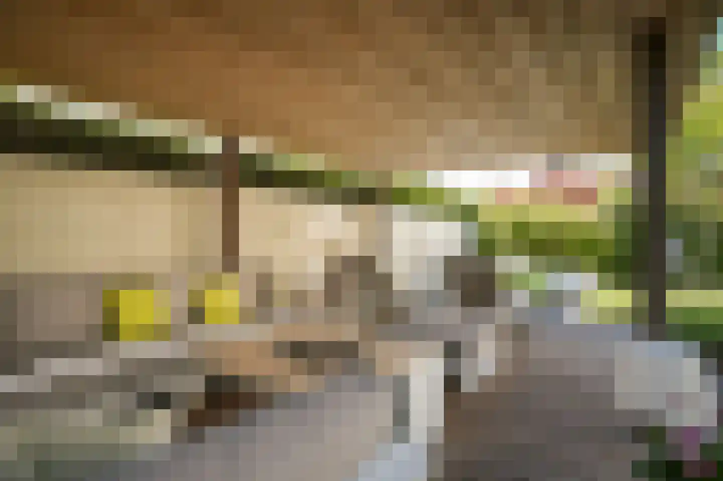 Hertogin Mechteldhof 2 Zaltbommel thumbnail 57
