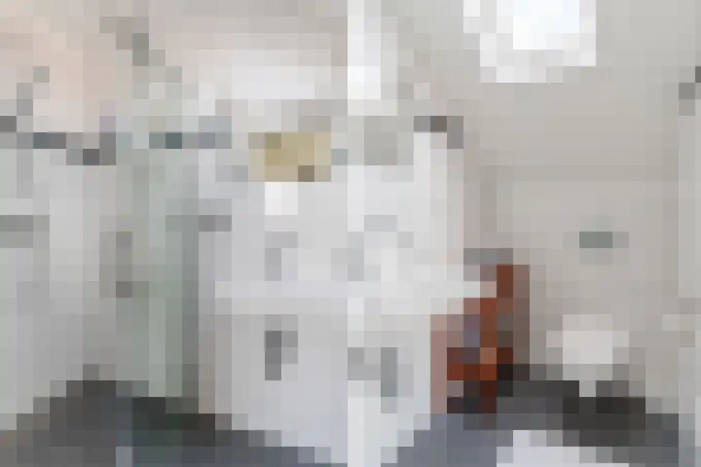Hertogin Mechteldhof 8 Zaltbommel thumbnail 30