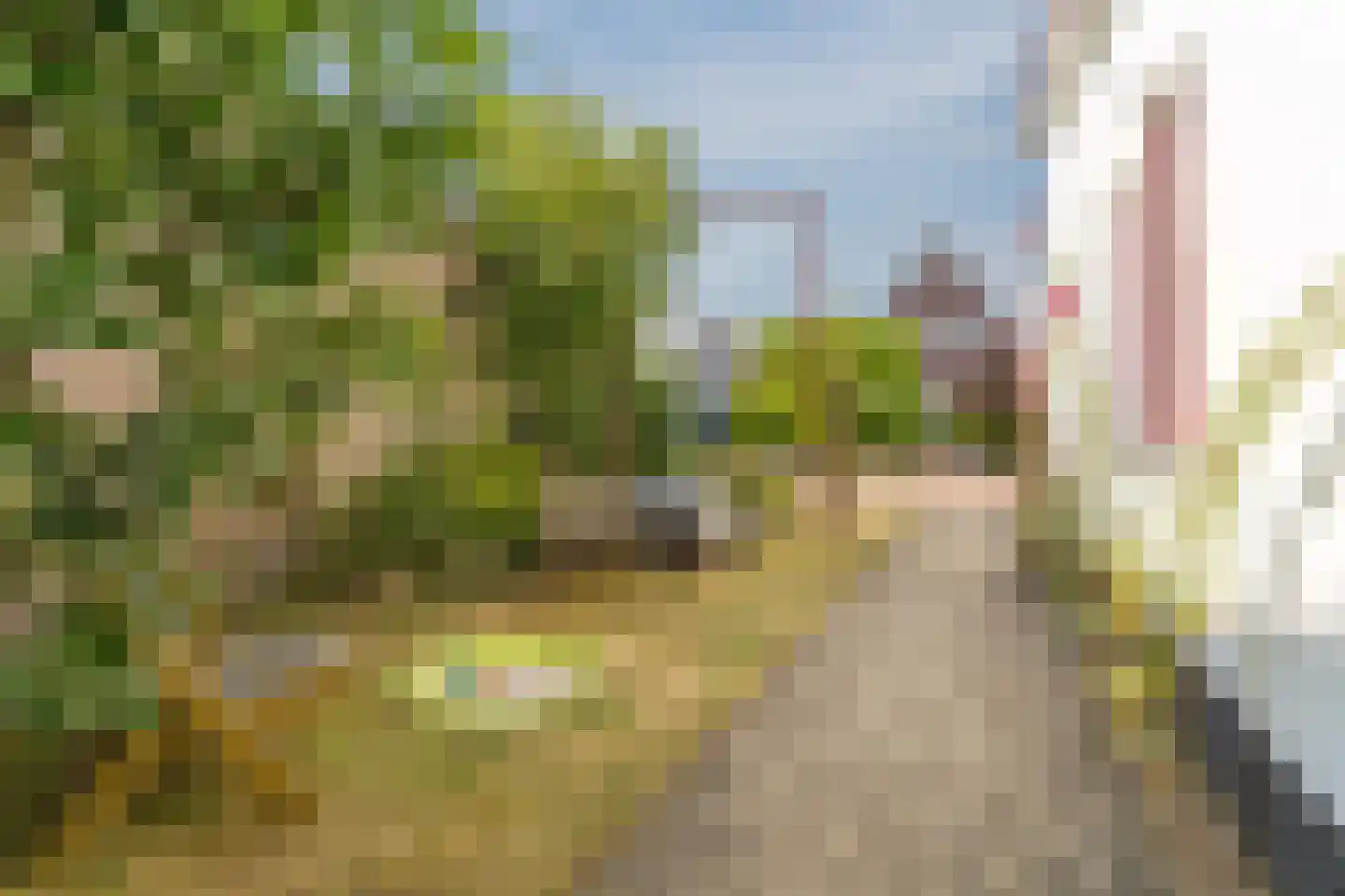 Hertogin Mechteldhof 8 Zaltbommel thumbnail 40