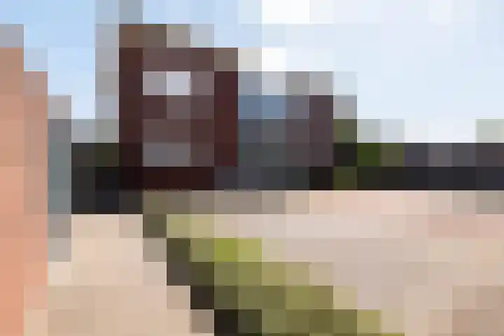 Hertoginnenlaan 33 Oostvoorne thumbnail 33