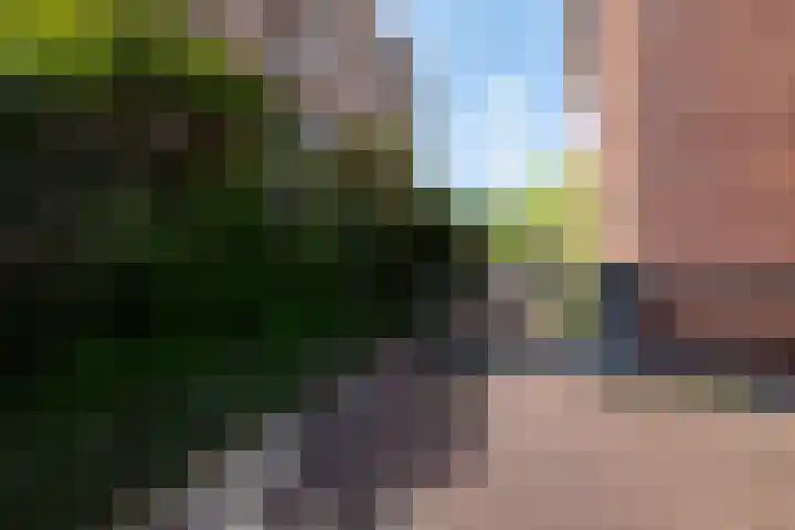 Hertoginnenlaan 33 Oostvoorne thumbnail 37